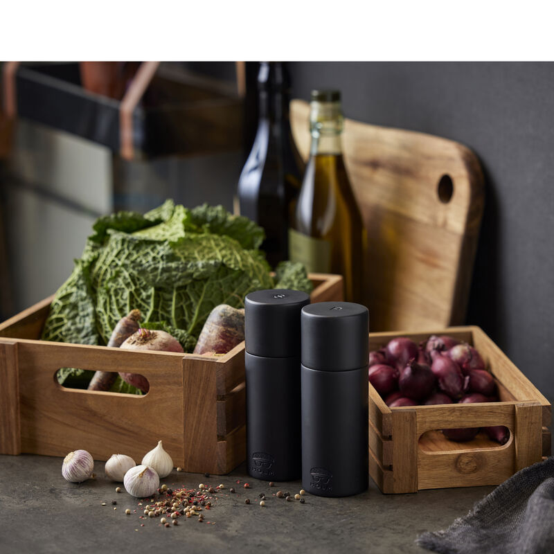 Salt- og peberkv&aelig;rns&aelig;t